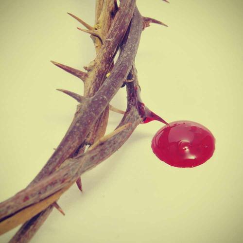 crown of thorns and drop of blood
